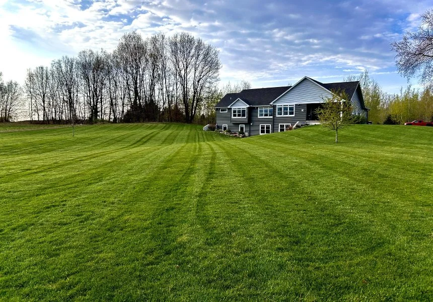 Photo of plants and trees at a nursery in Grand Rapids, MI.